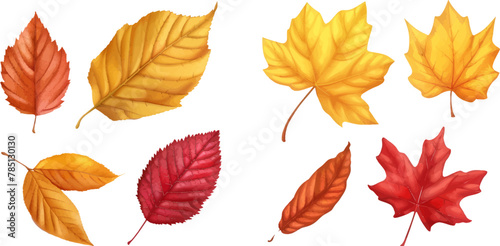 Yellow autumnal garden leaf, red fall leaf and fallen dry leaves