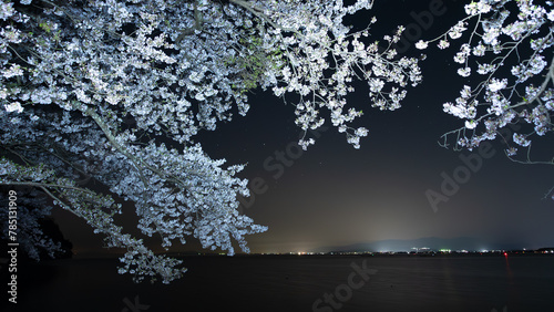 湖のそばの桜と星