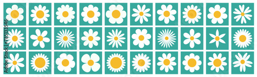 Chamomile daisy big set. White camomile square icon. Growing concept. Cute round flower plant collection. Love card. 30 sign symbol shape. Flat design. Green background. Isolated. Vector illustration