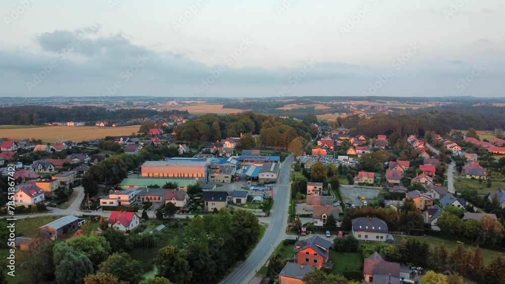 Beautiful aerial view of a rural town with thick trees around small houses under a cloudy sky