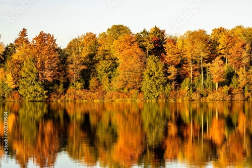 Scenic view of Lake Jean at Ricketts Glen State Park in Pennsylvania in autumn