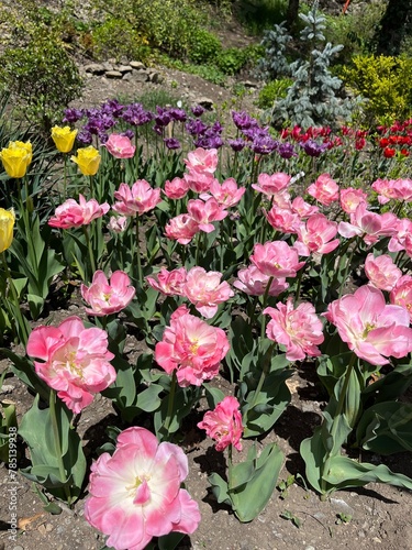 Wallpaper Mural pink flowers in garden Torontodigital.ca