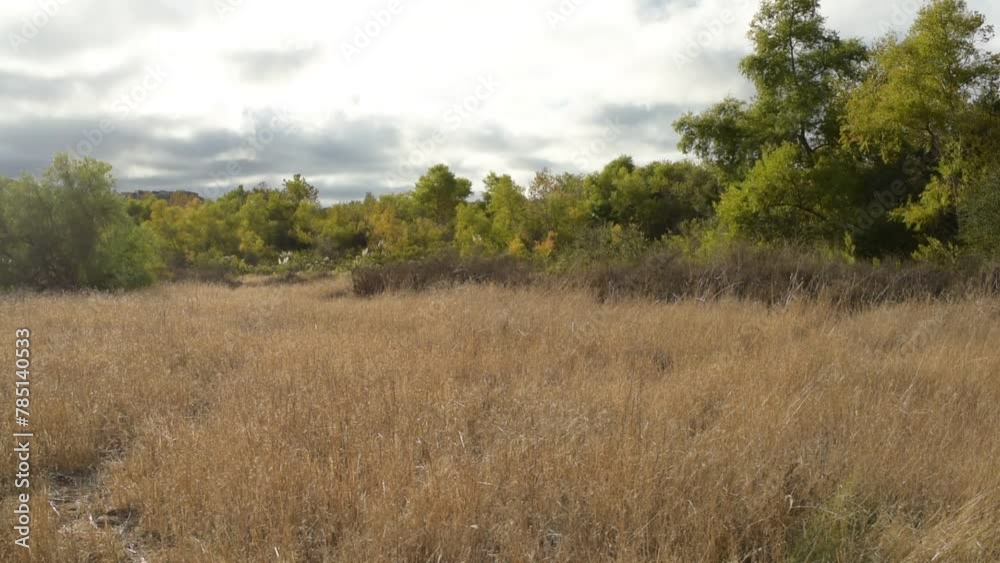Beautiful view of a hiking trail in San Diego Beautiful view of a hiking trail in San Diego