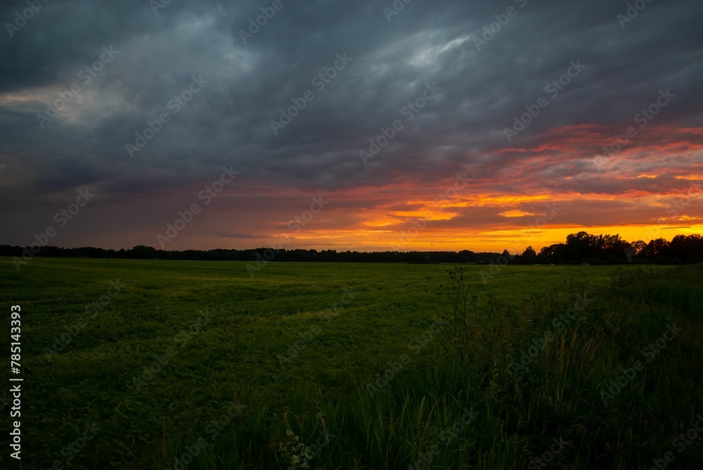 View of a sunset in the field View of a sunset in the field