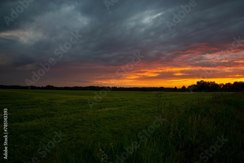 View of a sunset in the field