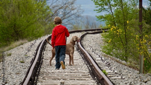 Boy with Weimaraner dog walking on old abandoned railway Lupoglav Stalije, Pijana pruga, Kozljak, Krsan, Istria County, Croatia   photo