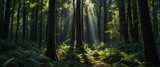 AI generated illustration of a hyper-realistic forest scene with lush trees