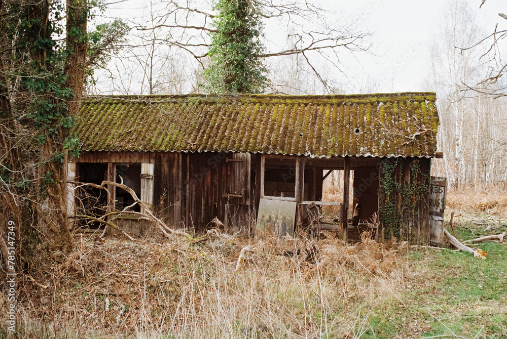 old abandoned house old abandoned house