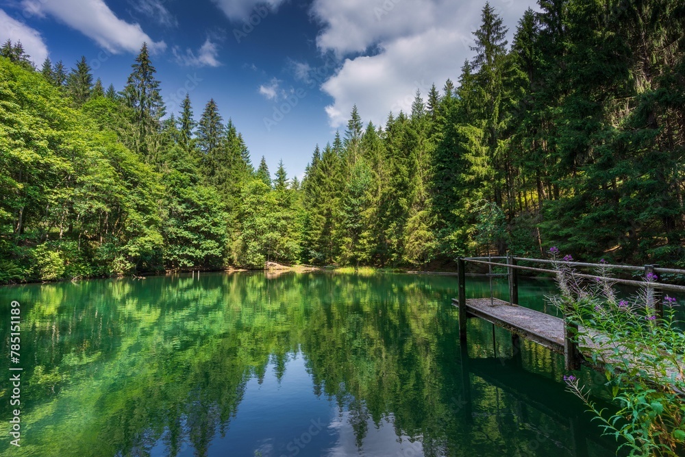 Scenic shot in Thuringian Forest with a dock and evergreen trees reflected on the water Scenic shot in Thuringian Forest with a dock and evergreen trees reflected on the water