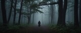 man walking in the woods alone in the dark with fog