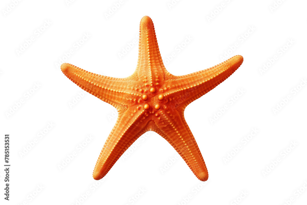 Ethereal Orange Starfish Dancing on Pure White Canvas. On White or PNG Transparent Background. Ethereal Orange Starfish Dancing on Pure White Canvas. On White or PNG Transparent Background.