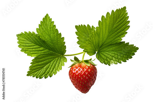 Sweet Scarlet Jewel: A Strawberrys Delightful Presence. On White or PNG Transparent Background. photo