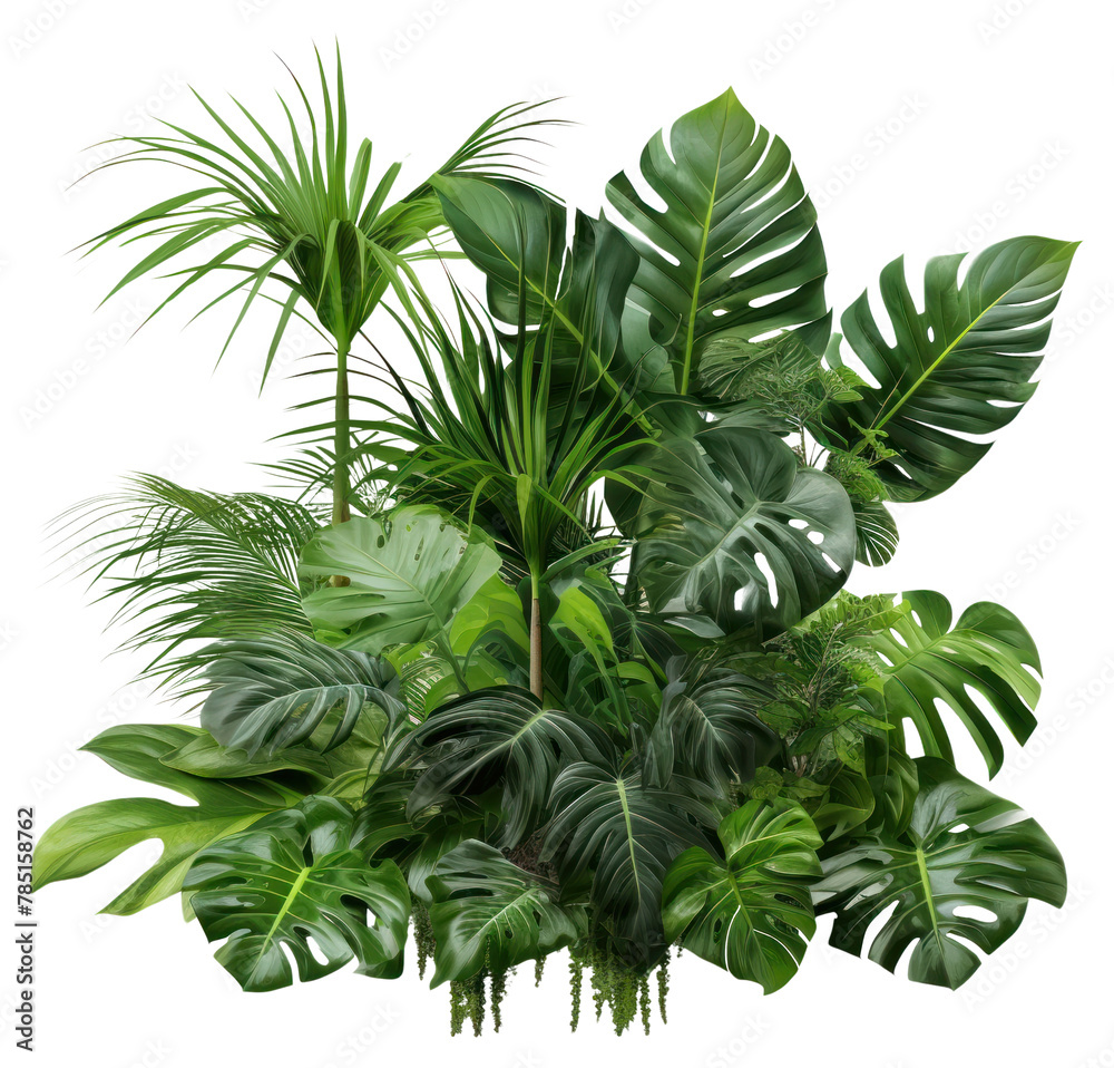 PNG Tropical plants tropics nature green. AI generated Image by rawpixel.