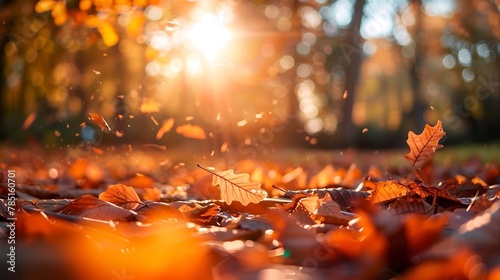 Autumn leaves  rich colors  close-up  straight-on shot  forest bokeh  warm light leaks  sunset 