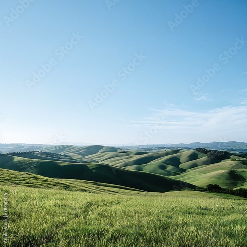 field and blue sky