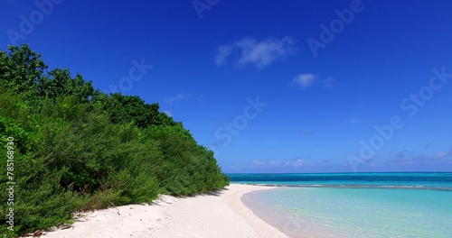 Fototapeta Naklejka Na Ścianę i Meble -  Trees on a sandy beach by the ocean
