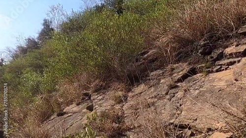 Wallpaper Mural path in the grass Trees Clay and stone Mountains Natural plants Forest Old forts Walls Clouds Blue sky Grass Sand Rocks Herbs Fog Winter Dunes  Torontodigital.ca