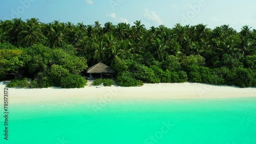 Aerial view of a house on an island covered with greenery against a turquoise sea on a sunny day