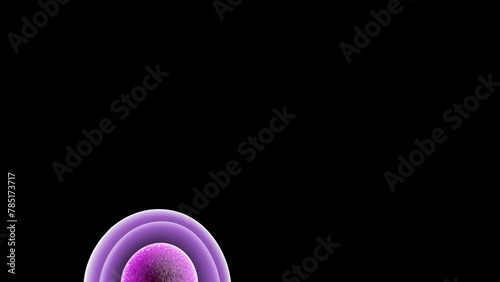 Embryonic stem cells , Cellular therapy , Regeneration , Disease treatment