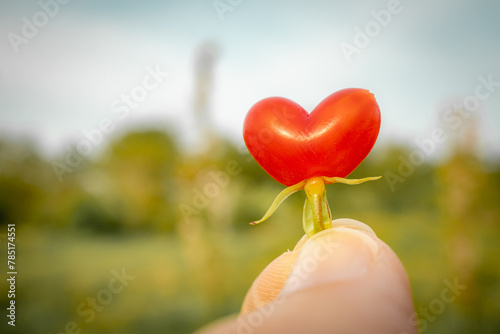 Hand holding heart shaped berry photo