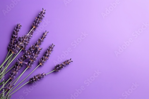 Lavender background with dark lavender paper on the right side, minimalistic background, copy space concept, top view, flat lay