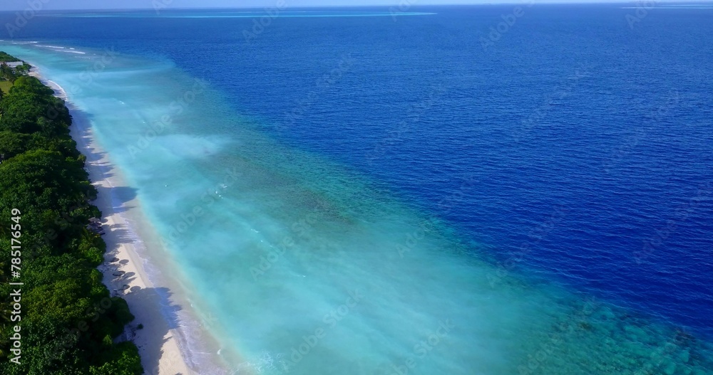 Fototapeta premium Aerial view of green trees on a sandy beach by the ocean on a sunny day