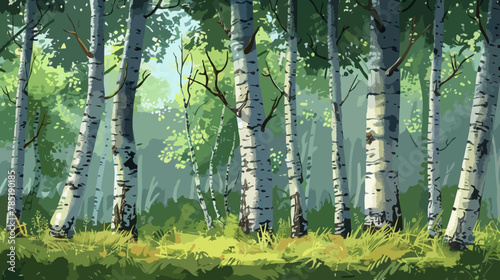 birch trees in the forest, Illustration
