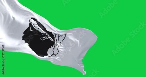 Flag of Corsica waving in the wind isolated on green background
