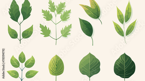 Of six different green tree leaves isolated on white