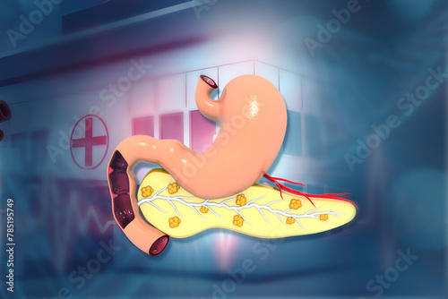 Stomach with pancreas on medical background. 3d illustration. photo