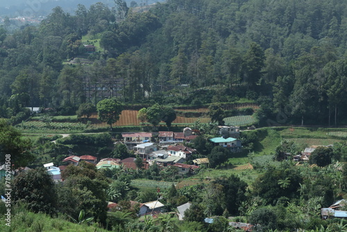 A picturesque village nestled at the base of Mount Gede Pangrango in Cianjur, West Java, Indonesia, surrounded by expansive rice fields.