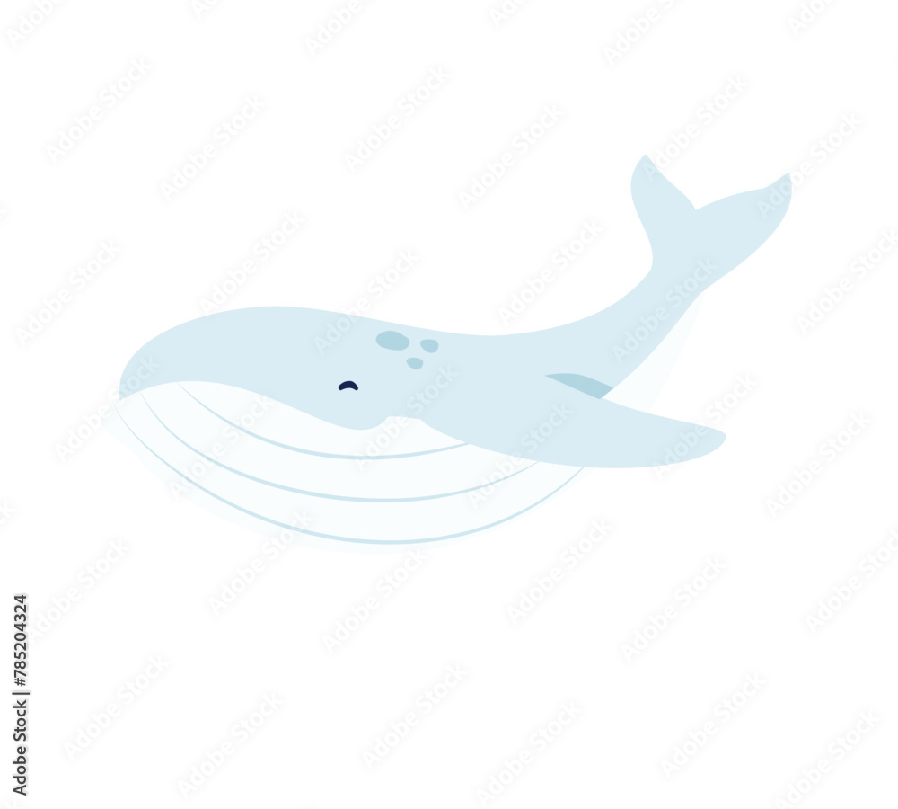 Obraz premium Whale. Underwater marine life