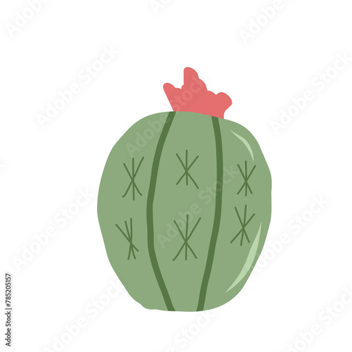 Prickly pear cactus isolation on white background. Mexican cacti. Exotic plant Vector illustration
