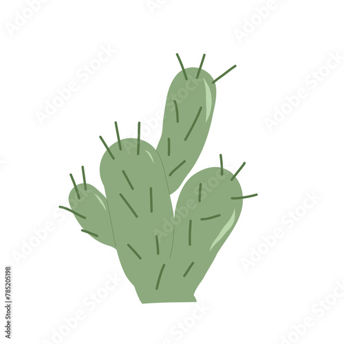 Cactus flat isolation on white background. Mexican cacti and aloe. Exotic plant Vector doodle illustration