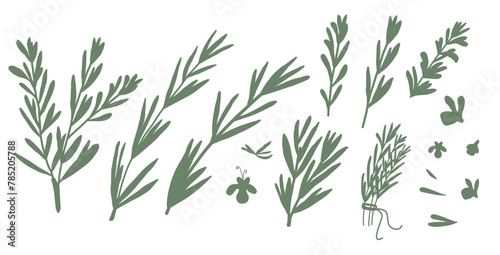 Rosemary silhouette set isolated on white background. Fresh herb branch with green leaves simple. Hand drawn illustration.