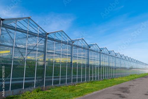 Greenhouse under a blue sky. Cultivation of plant crops.