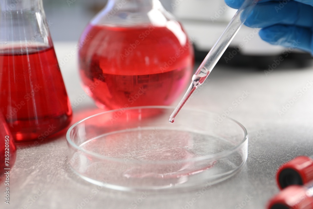 Laboratory analysis. Dripping red liquid into Petri dish on light grey table, closeup Laboratory analysis. Dripping red liquid into Petri dish on light grey table, closeup