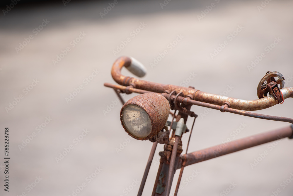 Old decay bicycle on green vine climbing garden wall outdoor. Rust Classic bike old bicycle on green garden wall retro style. Vine plant green leaves partition background. Old decay bicycle on green vine climbing garden wall outdoor. Rust Classic bike old bicycle on green garden wall retro style. Vine plant green leaves partition background.