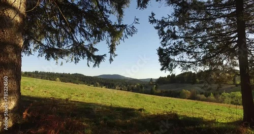 landscape with trees