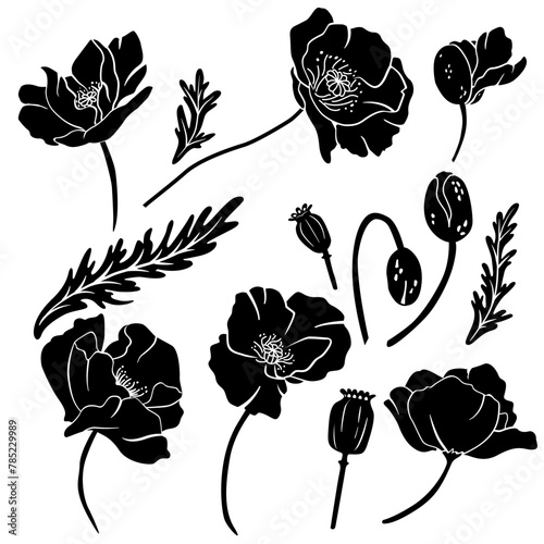 set of silhouettes of poppy flowers, buds and boxes. Vector image for plotter cutting