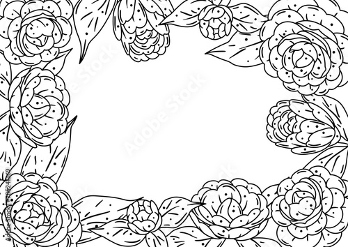 Background with camellia. Beautiful decorative plants.