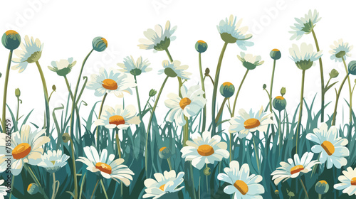 White chamomiles blooming in a garden Flat vector isolated