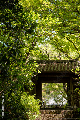 鎌倉244　瑞泉寺1　山門 © MAMEMIKE
