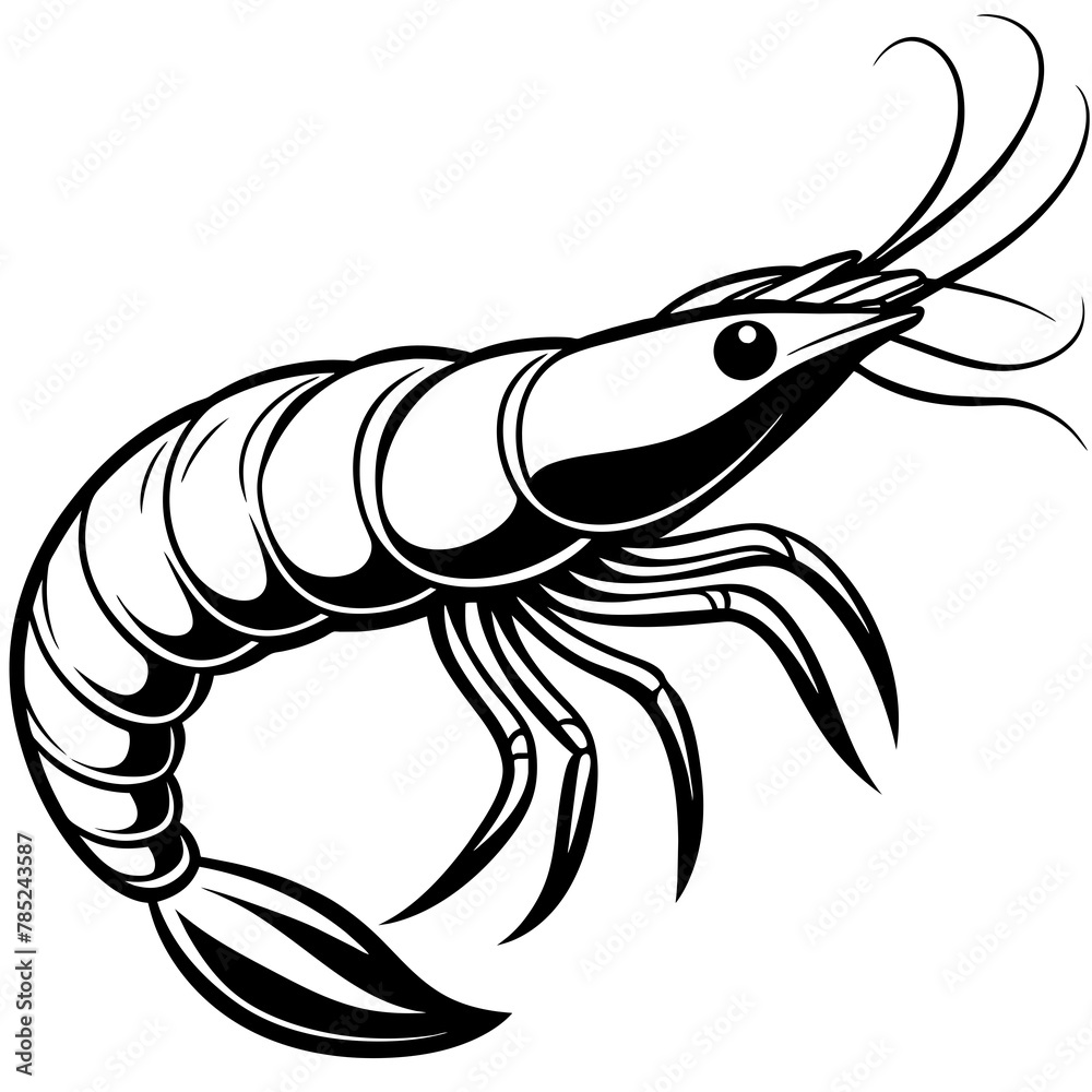 shrimp vector illustration.
shrimp vector illustration.