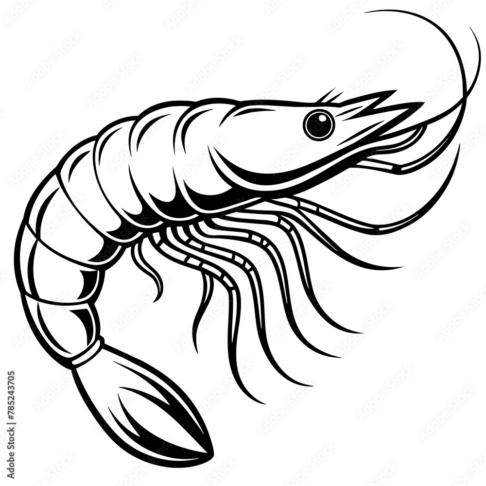 shrimp vector illustration.
shrimp vector illustration.