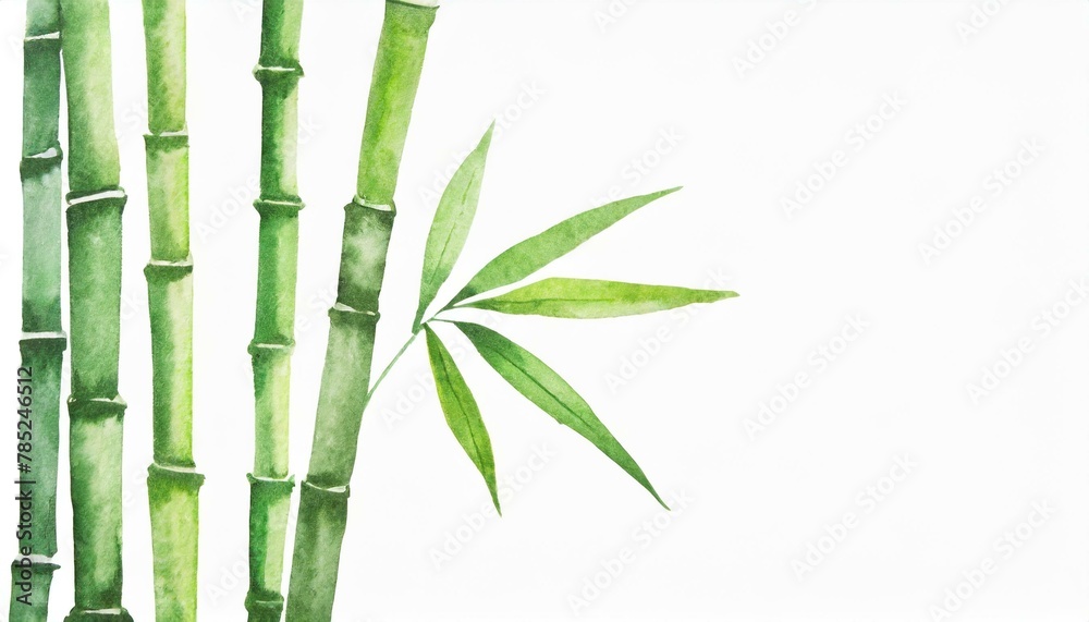 Naklejka premium 竹、竹林、イラスト素材