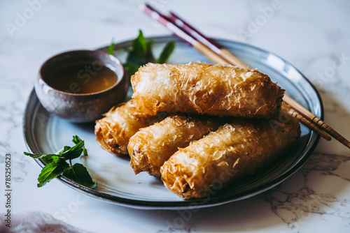 Nems au poulet accompagné de sauce piquante et feuilles de salade et menthe fraiche