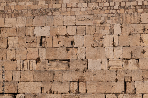The layered stones of the Western Wall in the Old City of Jerusalem, Israel. photo