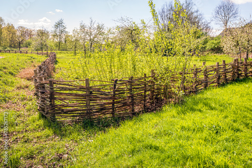 Fence manually assembled from woven willow branches and wooden posts. The photo was taken on a sunny spring day in the Dutch province of North Brabant.
