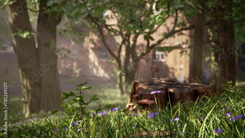 3d animation of forest vegetation, with trees, grass, mushrooms and small flowers, focusing on a cut tree trunk and an old barn in the background. Environment concept.